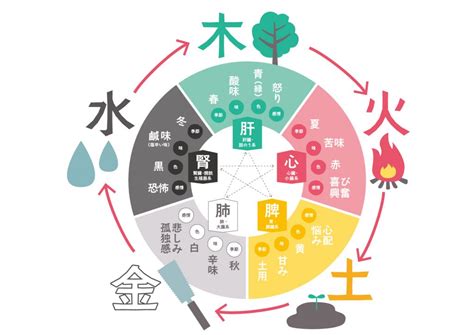 五行 木 職業|四柱推命【木】の五行とは？性格や運勢、恋愛、仕事、相性を解。